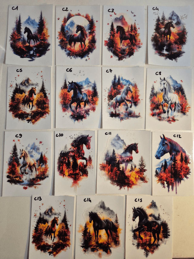 Décos DTF chevaux